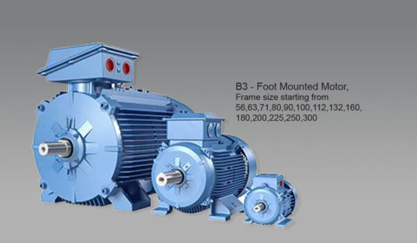 Buy Best Three Phase Induction Motor Suppliers in UAE - Everest RKD