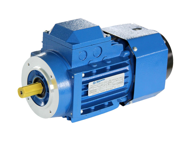Brake Motor