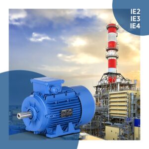 Standard Series Motors